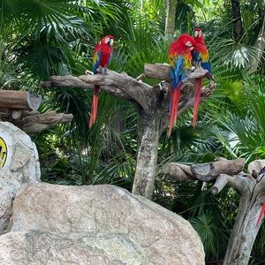 Meet your Posher, Jessenia